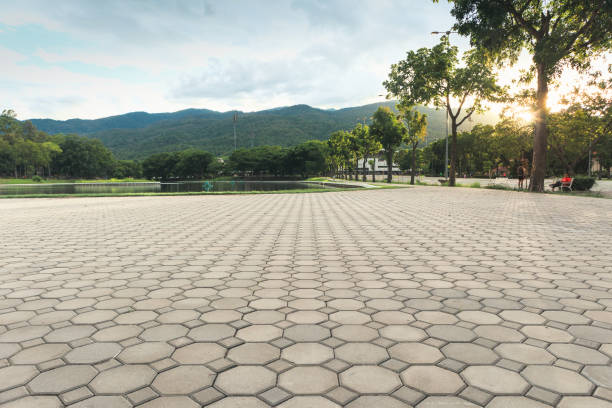 Best Affordable Driveway Paving  in Windom, MN