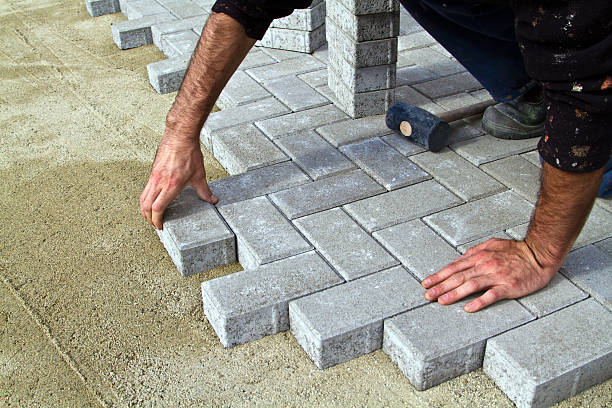 Best Driveway Repair Near Me  in Windom, MN